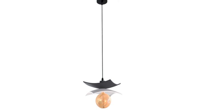 Elliptical Pendant Light