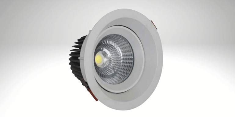 Round Adjustable LED Downlight